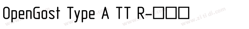 OpenGost Type A TT R字体转换